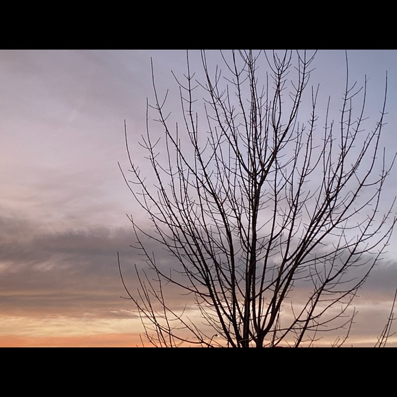 Meet your Posher, Ava - Picture 1 of 1